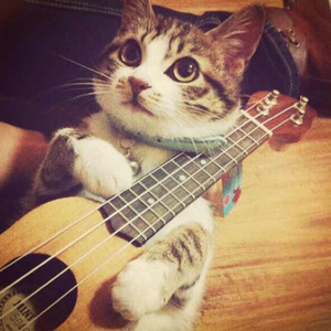 日本人真人性交做爱视频免费看
